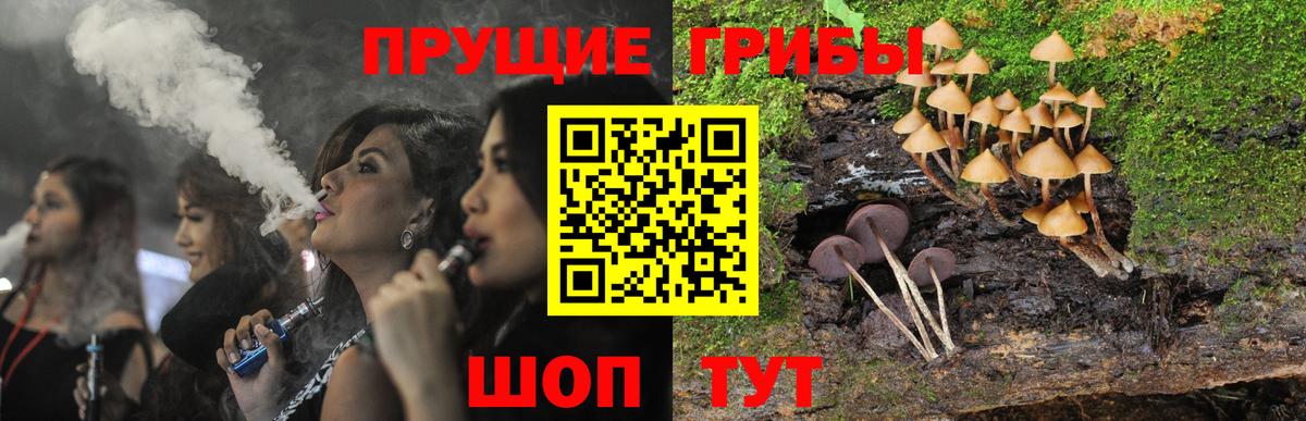 Галлюциногенные грибы Magic Shrooms Мурино