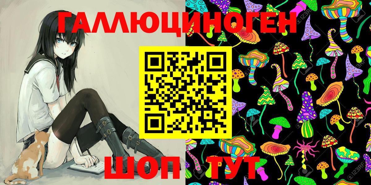 Псилоцибиновые грибы Psilocybine cubensis  Вход с VPN  Мурино 